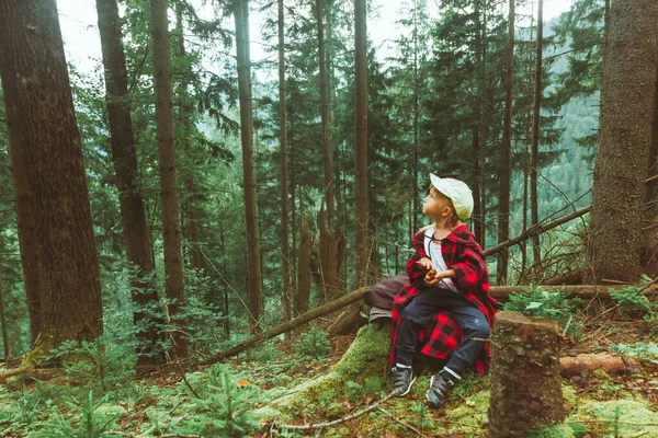 Маленька Дівчинка Шукає Гриби Літньому Лісі Копіювання Простору — стокове фото