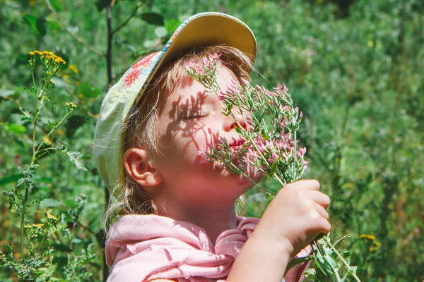 Liten Småbarn Flicka Ser Blommor Sommarskogen — Stockfoto