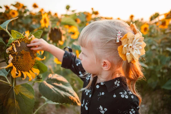 Kleines Süßes Jähriges Mädchen Sonnenblumenfeld Bei Sonnenuntergang Porträt — Stockfoto