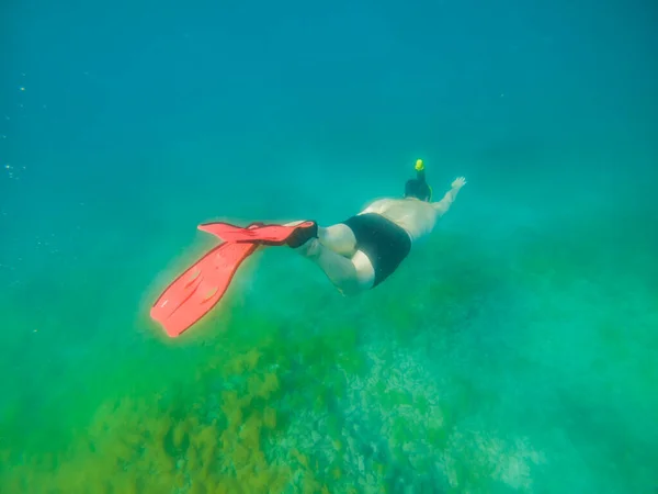 Man Zwemmen Onder Water Met Snorkelen Muskus Zomer Zee Vakantie — Stockfoto