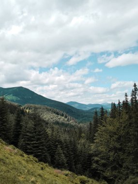 Yaz dağlarının manzarası. Güzel manzara. Boşluğu kopyala
