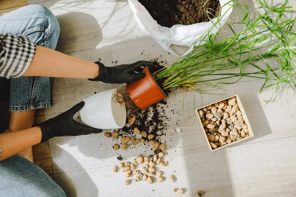 Frau Verpflanzt Blumen Größeren Töpfen Hause Kopierraum — Stockfoto