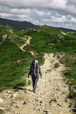 Dağlardaki genç yürüyüşçü. Yaz yürüyüşü yolu. Boşluğu kopyala.