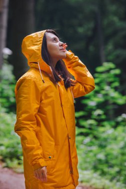 Sarı yağmurluklu kadın yağmurlu ormanda yürüyor. Dikiz aynası. kopyalama alanı. Büyük dünyadaki küçük insanlar.