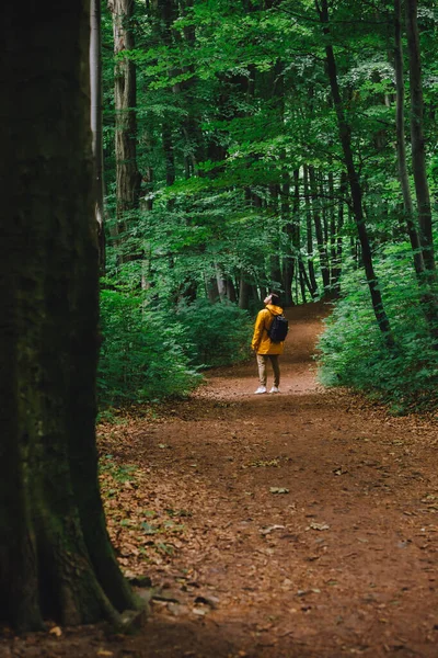 Homem Viajante Amarelo Capa Chuva Caminhadas Pela Floresta Chuvosa Espaço — Fotografia de Stock