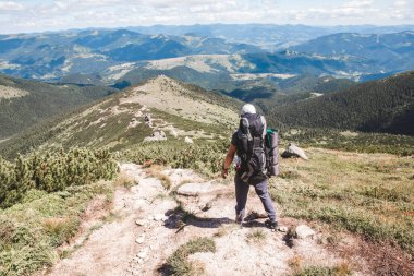 Dağlardaki genç yürüyüşçü. Yaz yürüyüşü yolu. Boşluğu kopyala.