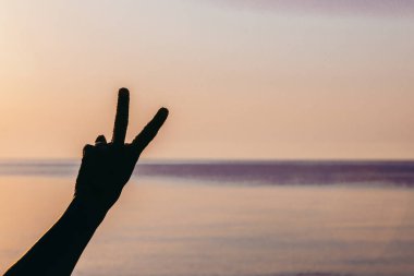 Erkek eli farklı bir sembol gösteriyor. Kaygısız. özgürlük