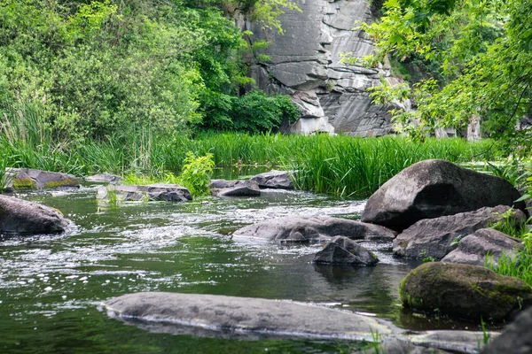 美しい川の風景夏のコピースペース壁紙 — ストック写真