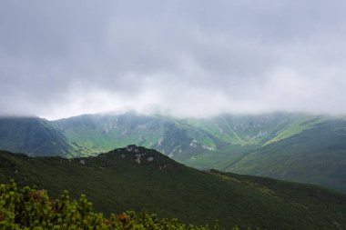 Yaz dağlarının manzarası. Güzel manzara. Boşluğu kopyala