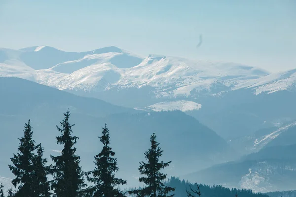 Panoramisch Uitzicht Winter Besneeuwde Bergen Schoonheid Natuur Kopieerruimte — Stockfoto