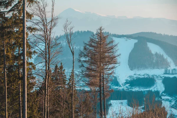 겨울에 눈덮인 산들의 전경은 자연의 아름다움을 간직하고 — 스톡 사진