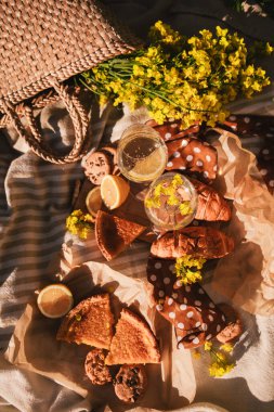 Piknik konsepti şarap kadehleri açık havada battaniyeli yaz zamanı