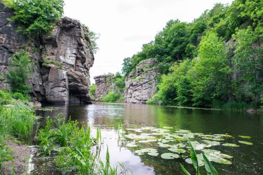 Kanyondaki nehir, yüksek kayalık kayalık alanı kopyala