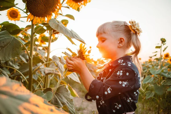 Kleines Süßes Jähriges Mädchen Sonnenblumenfeld Bei Sonnenuntergang Porträt — Stockfoto
