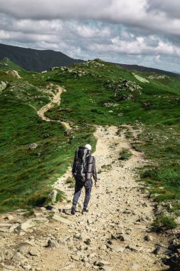 Dağlardaki genç yürüyüşçü. Yaz yürüyüşü yolu. Boşluğu kopyala.