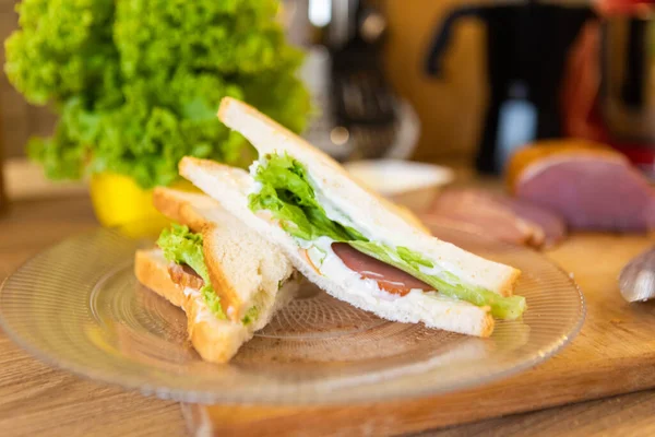 Sándwich Plato Cerrar Espacio Copia — Foto de Stock