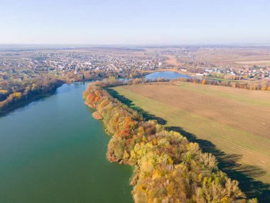 Sonbahar plaj gölü manzarası yeşil suyla kaplı.