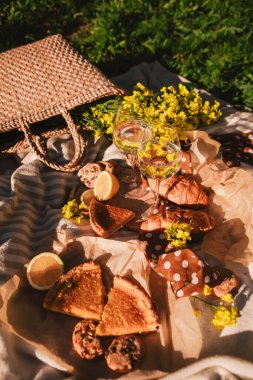 Piknik konsepti şarap kadehleri açık havada battaniyeli yaz zamanı