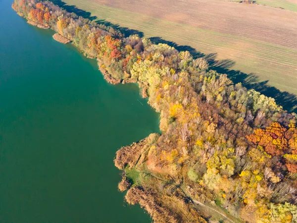 Vista Superior Aérea Lago Praia Outono Com Água Verde — Fotografia de Stock