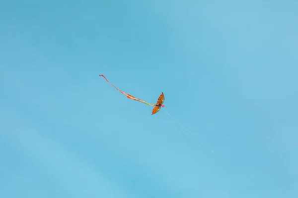 Oranje Kleurrijke Vlieger Blauwe Lucht Kopieerruimte — Stockfoto