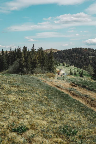 Uitzicht Pad Weg Het Bos Bergen Kopieerruimte — Stockfoto