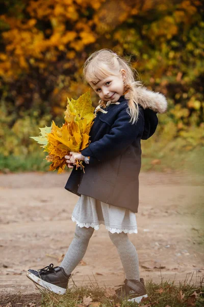 Porträt Niedlicher Kleinkind Mädchen Herbst Outfit Mit Ahornblättern Den Händen — Stockfoto