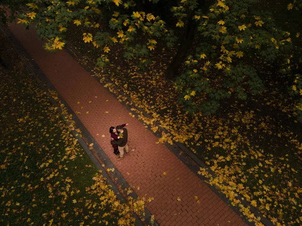 공원에서 위에서 만난다 떨어지는 나뭇잎 — 스톡 사진