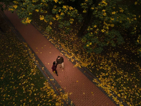 couple meet in autumn park overhead top view. falling leaves