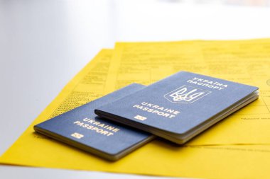 Aşılama belgelerinin Ukrayna pasaportu salgın sınırında
