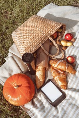Nehir kıyısında piknik. Sonbahar güneşli gün. Kopyalama alanı.