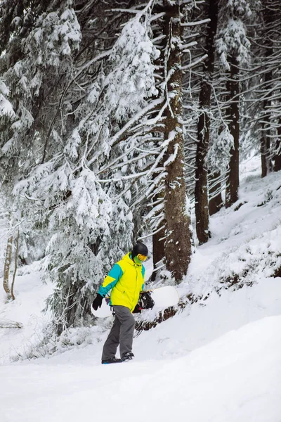 Homem Snowboarder Andando Por Nevado Floresta Cópia Espaço — Fotografia de Stock