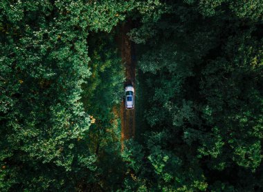 aerial view of the car in forest at trail road copy space
