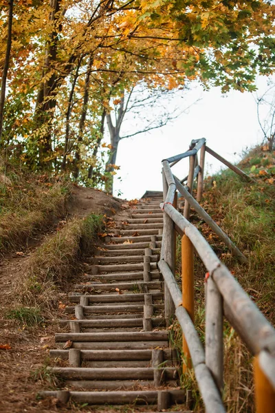 View Wooden Stairs National Park Autumn Season Copy Space — Stock fotografie