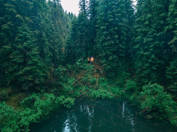 两个徒步旅行者到达森林中的山湖 — 图库照片