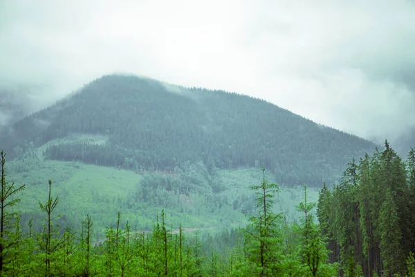 Carpathian Mountains Landscape Scenic — Stockfoto