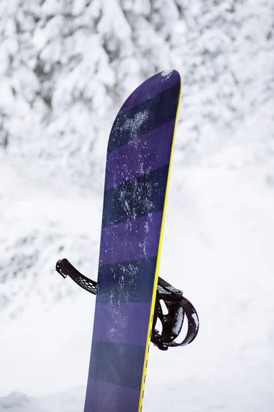 Snowboard Sulla Neve Vicino Attività Invernali — Foto Stock