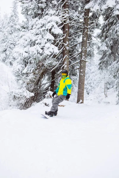 Homem Snowboarder Inverno Floresta Cópia Espaço — Fotografia de Stock