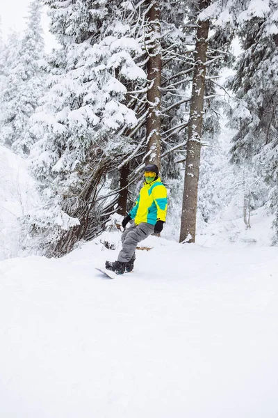 Kış Ormanlarında Snowboardçu Adam Boşluğu Kopyaladı — Stok fotoğraf