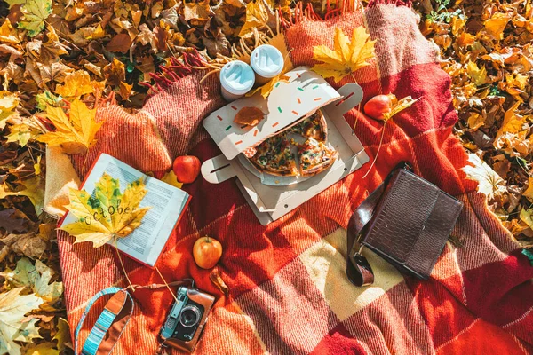 Blanket with book and old retro camera on the ground in autumn public park — Stock Photo, Image