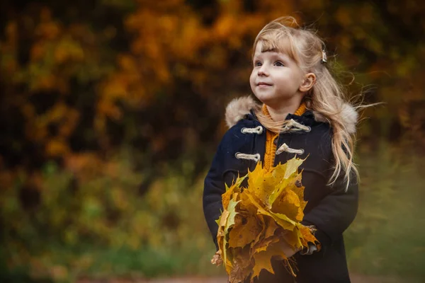 Retrato Cute Toddle Meninas Outono Roupa Com Folhas Bordo Mãos — Fotografia de Stock