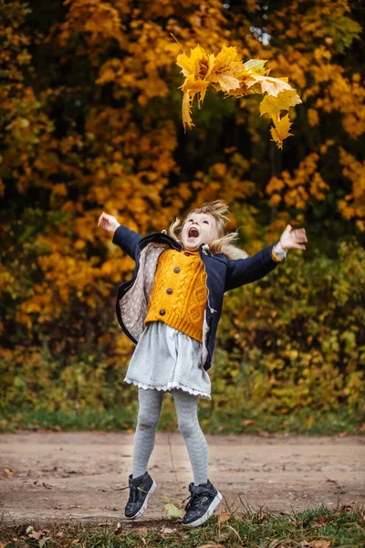 Porträt Niedlicher Kleinkind Mädchen Herbst Outfit Mit Ahornblättern Den Händen — Stockfoto