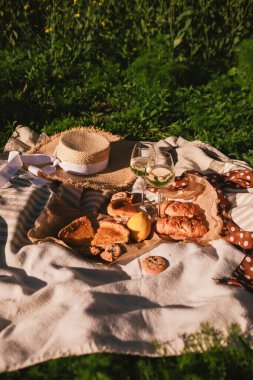 Piknik konsepti şarap kadehleri açık havada battaniyeli yaz zamanı