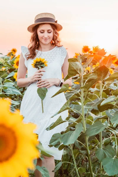 young pretty woman in white sundress at blooming sunflowers field