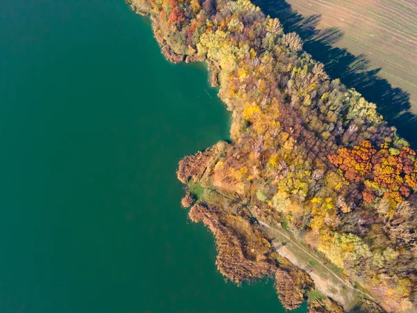 Vista Superior Aérea Lago Praia Outono Com Água Verde — Fotografia de Stock