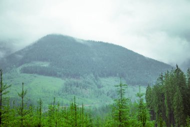 carpathian mountains landscape scenic