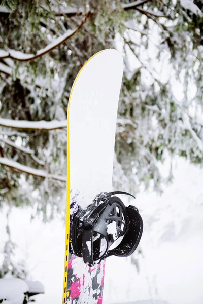 Snowboard Στο Χιόνι Κοντά Χειμερινές Δραστηριότητες — Φωτογραφία Αρχείου