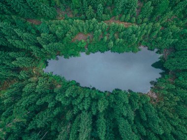 Gezgin çiftler orman fotokopi uzayındaki dağ gölüne ulaştılar.