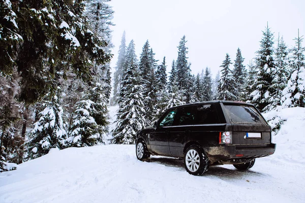 Suv Αυτοκίνητο Στο Χιονισμένο Δάσος Αντίγραφο Χώρο — Φωτογραφία Αρχείου