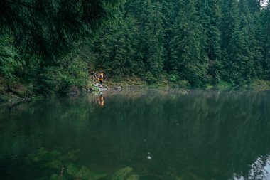 Lake Beach dağları ormanında sarı yağmurluklu bir kadın yürüyüşçü.