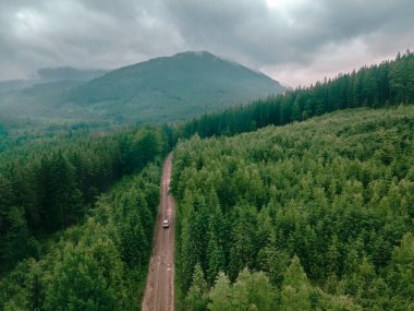Karpatya dağlarının hava manzarası bulutlu hava aracı patika yolda fotokopi alanı